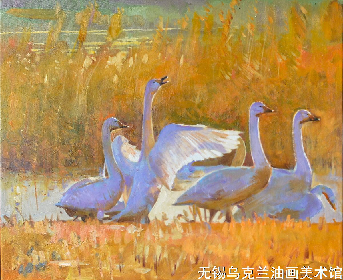 戏水 戏水